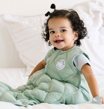 Load image into Gallery viewer, Dreamland baby weighted sleep sack